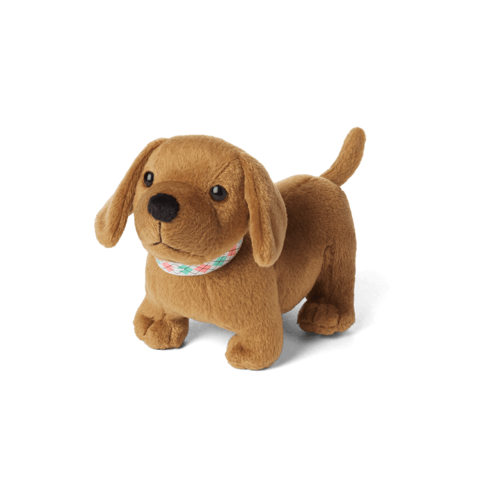 Maryellen’s™ Dog, Scooter (Historical Characters) N9