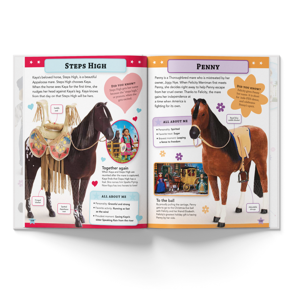 American Girl Character Encyclopedia New Edition Y2