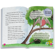 The Riddle of the Robin Book (WellieWishers™) E2