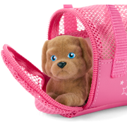Packed with Fun Luggage Set for 18-inch Dolls I2