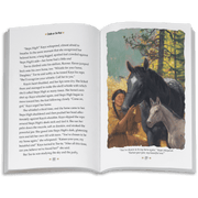 Smoke in the Wind: Kaya Book 2  (Historical Characters) I0