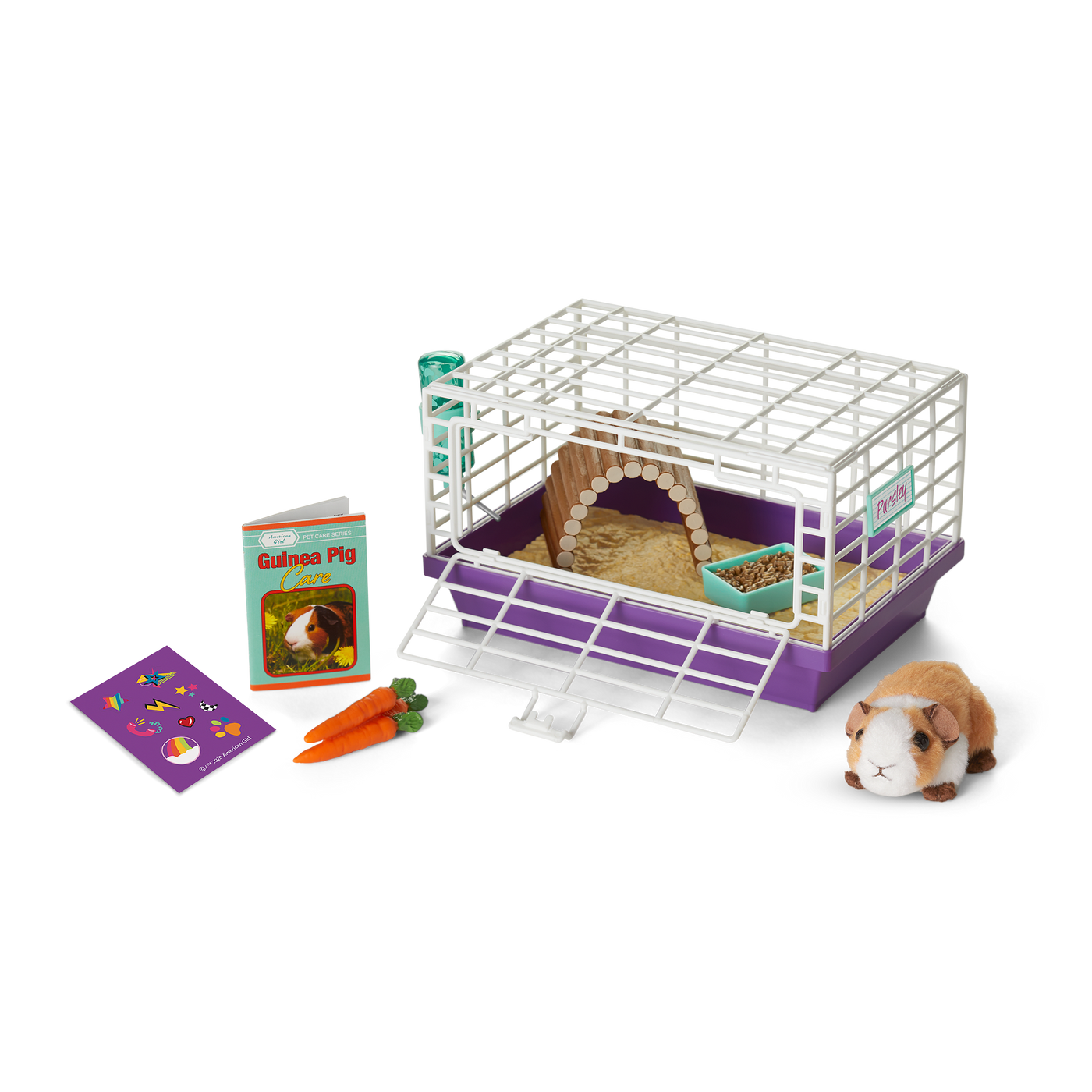 Courtney's™ Guinea Pig (Historical Characters) P7