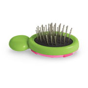 Little Ladybug Brush Y4