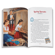 Second Chances: Josefina Book 2 (Historical Characters) B1