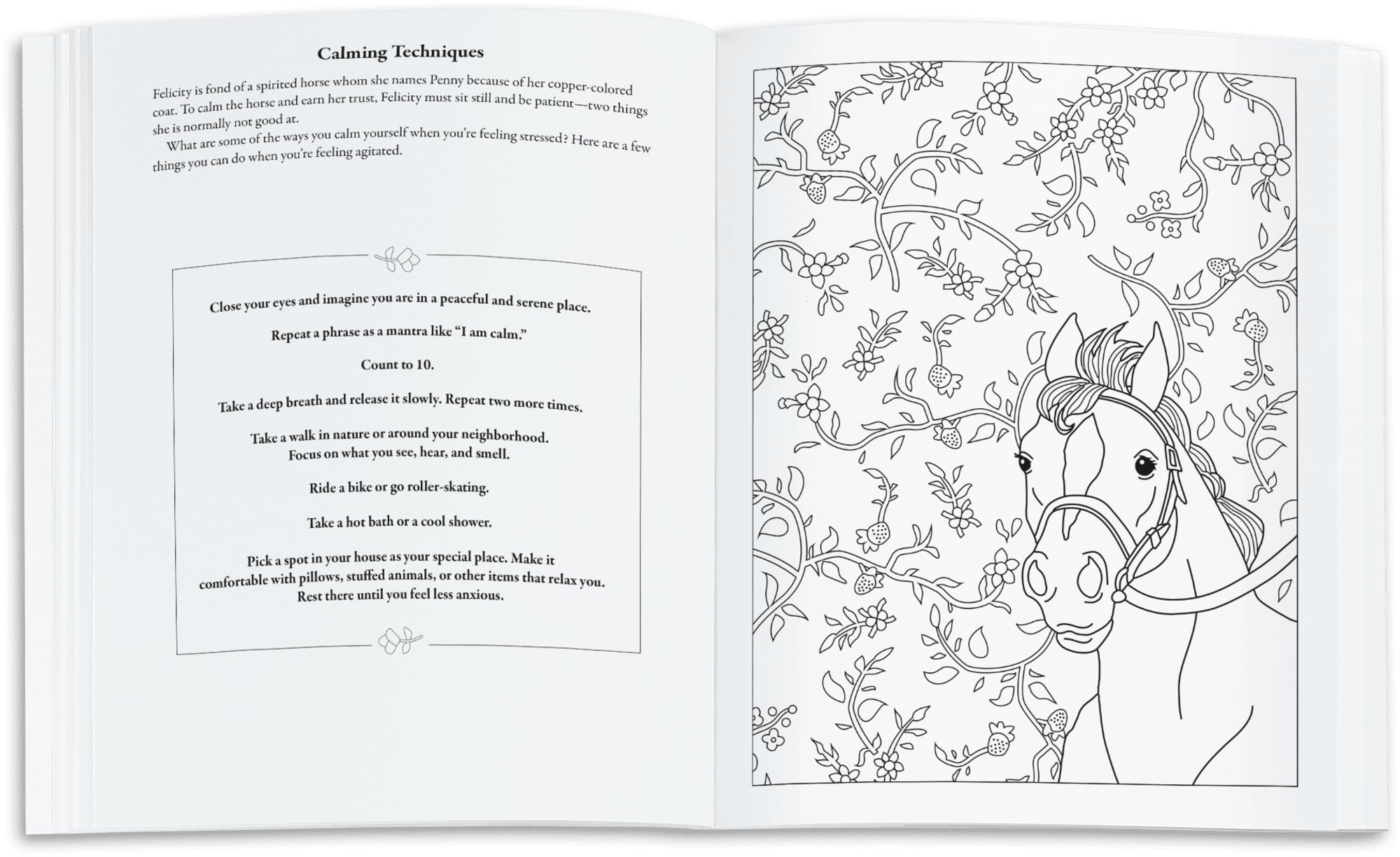 American Girl® Coloring Journal J0