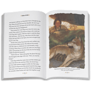 Smoke in the Wind: Kaya Book 2  (Historical Characters) R7